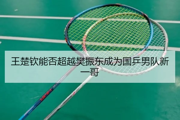 王楚钦能否超越樊振东成为国乒男队新一哥